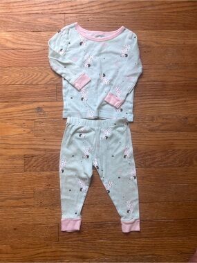 Toddler Light Mint and Pink Dog long sleeve Pajama Set size 12 month